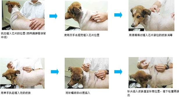 balilan.com#balilan-rfid-pet_5.png balilan.com#balilan-rfid-pet_5.png